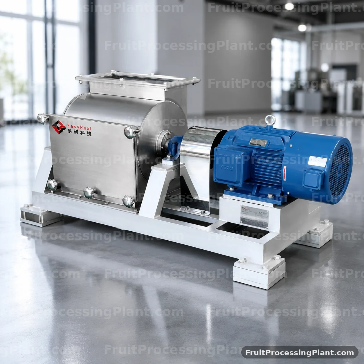 Pineapple Juice Processing Plant equipment