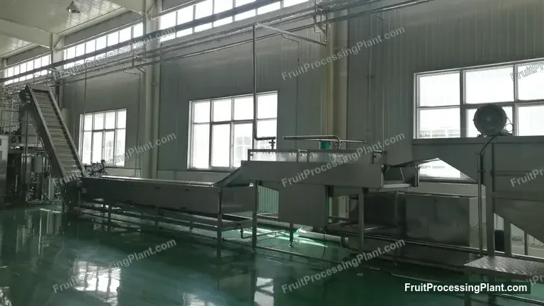 Bộ phận rửa và vận chuyển táo trong dây chuyền chế biến công nghiệp